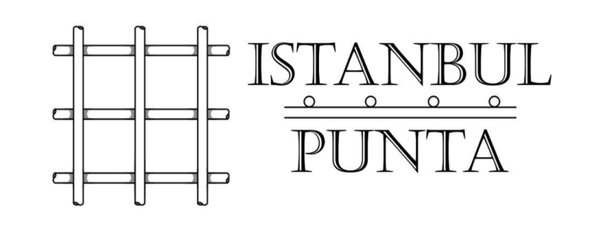 Puntalı çelik hasır kafes tel imalatı